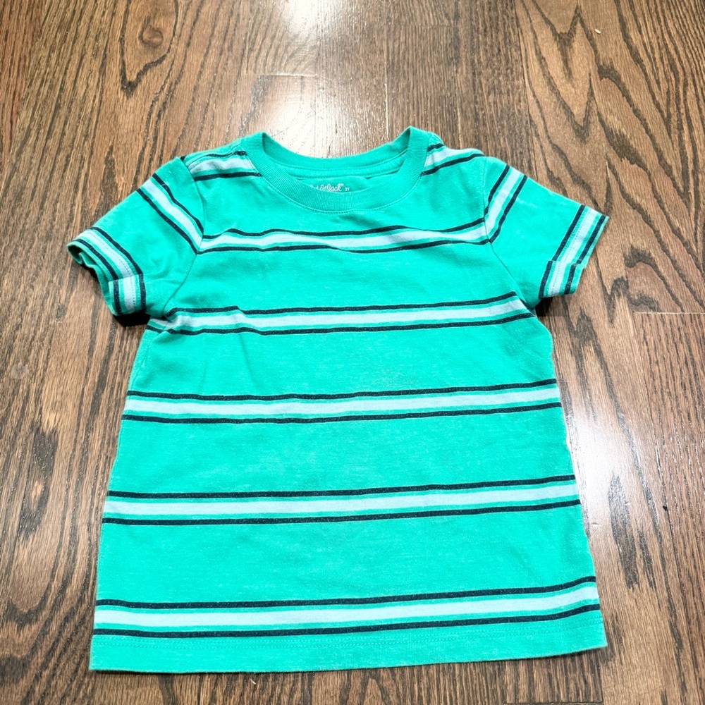Tea Collection Cat & Jack Toddler Boy 2T Shirt Bundle Lot Spring Cotton TRex‎ - Picture 6 of 8
